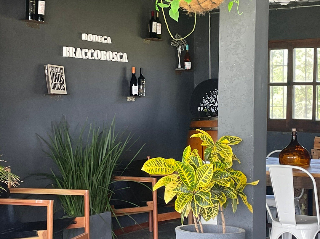 Bracco Bosca-Atlantida必去景点