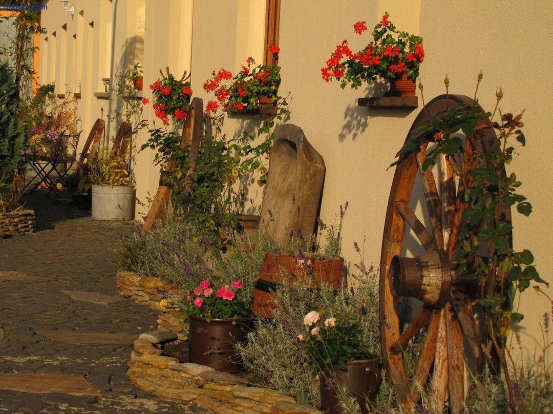 Pokoje Gościnne Skalnik - Agroturystyka- Pokoje Butikowe