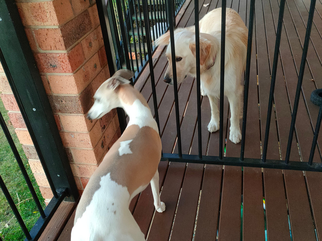 Bryn Glas Farm Stay主图