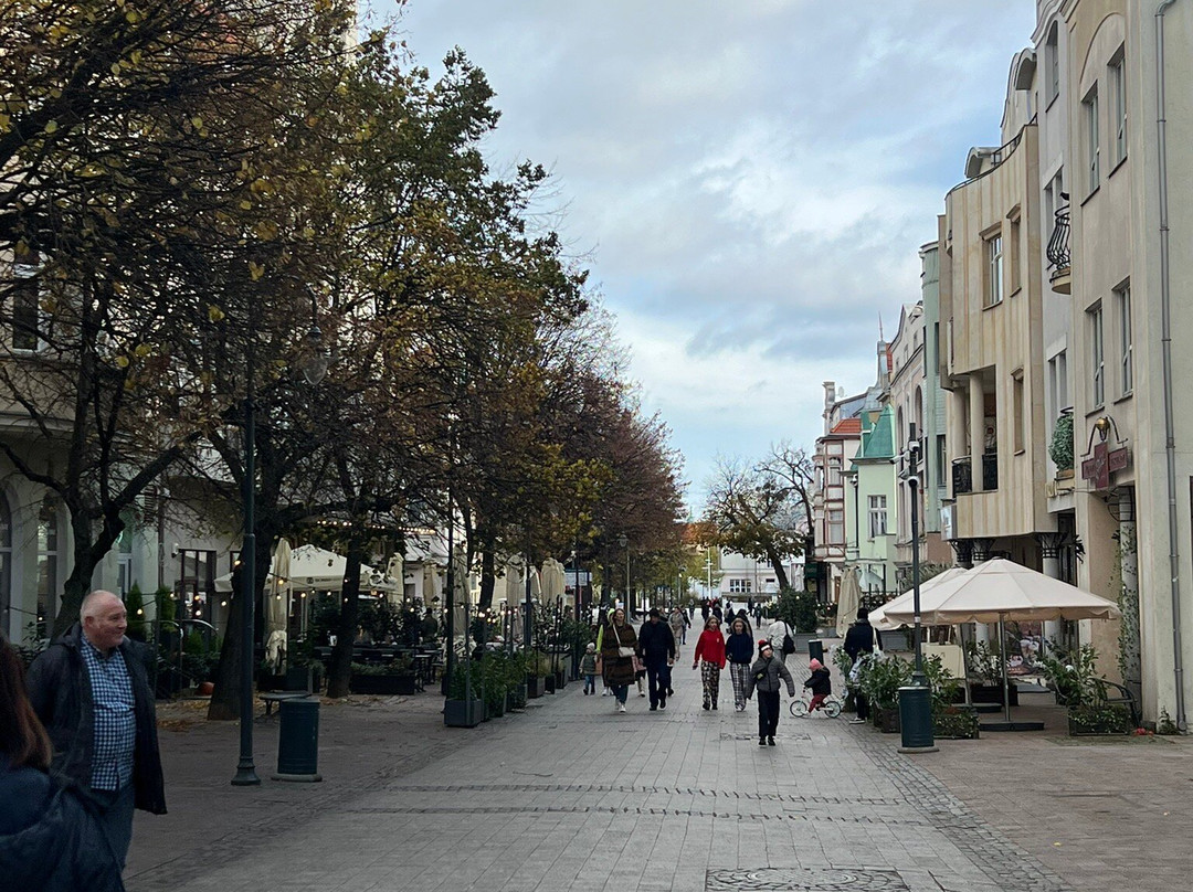Sopot Pier景点图片
