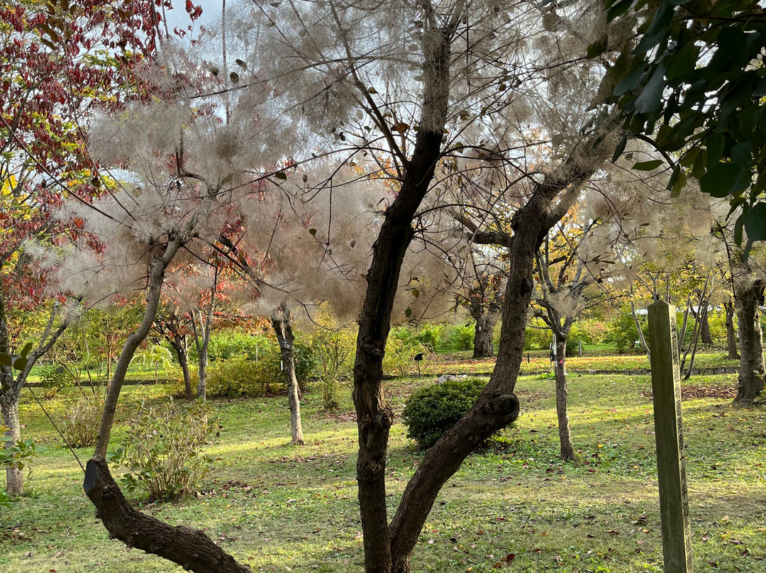 Hirosaki Castle Botanical Garden-弘前市必去景点