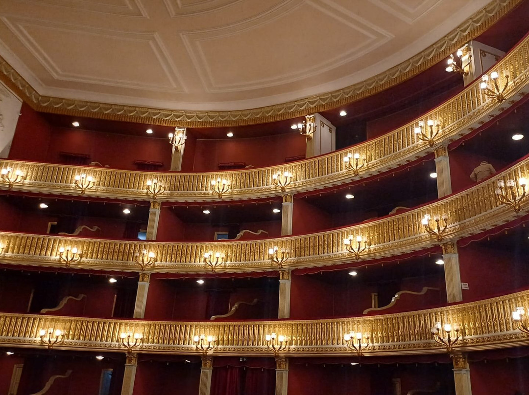 Teatro di tradizione Alfonso Rendano景点图片
