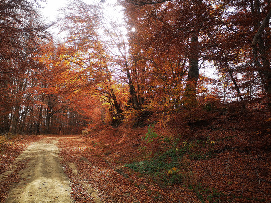 Entopia Project-塞萨洛尼基必去景点