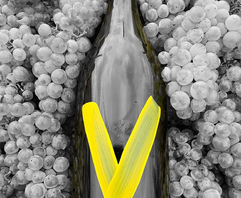 Crama Velo-Odobesti必去景点