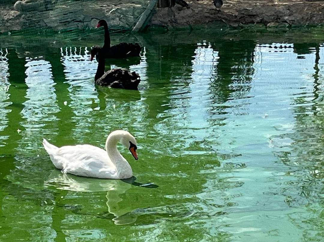 ZooClub-Bardar必去景点