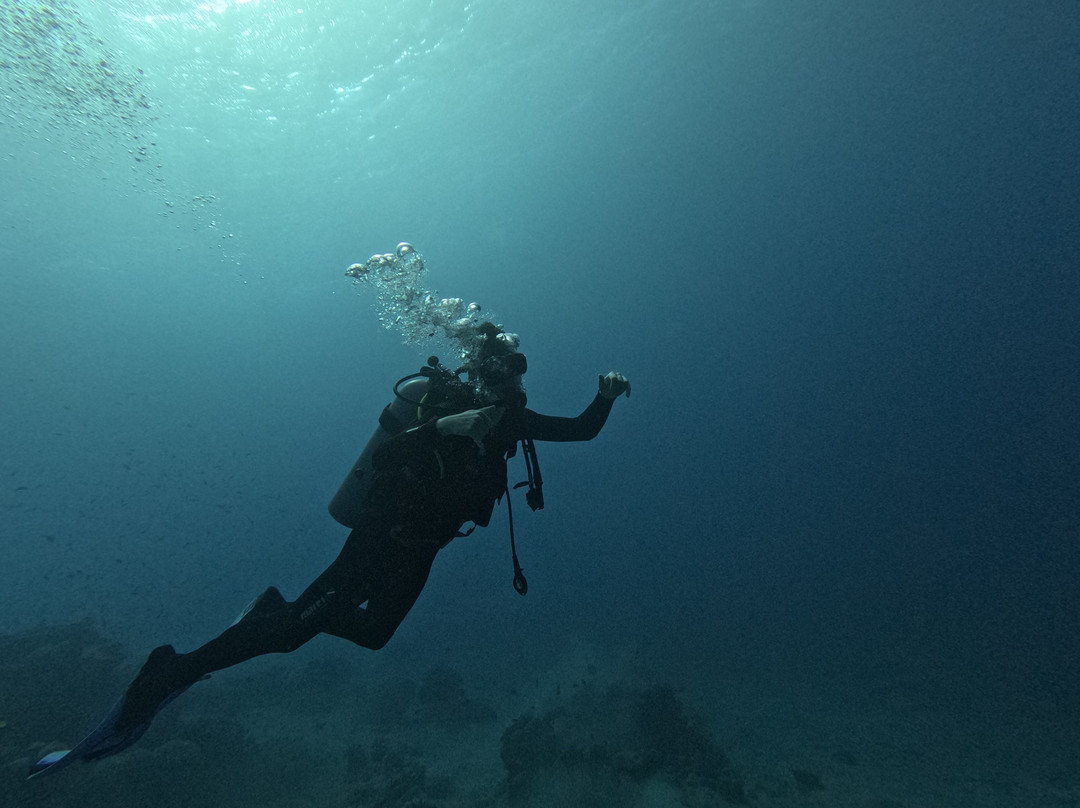 Royal Diving Centre-亚喀巴必去景点