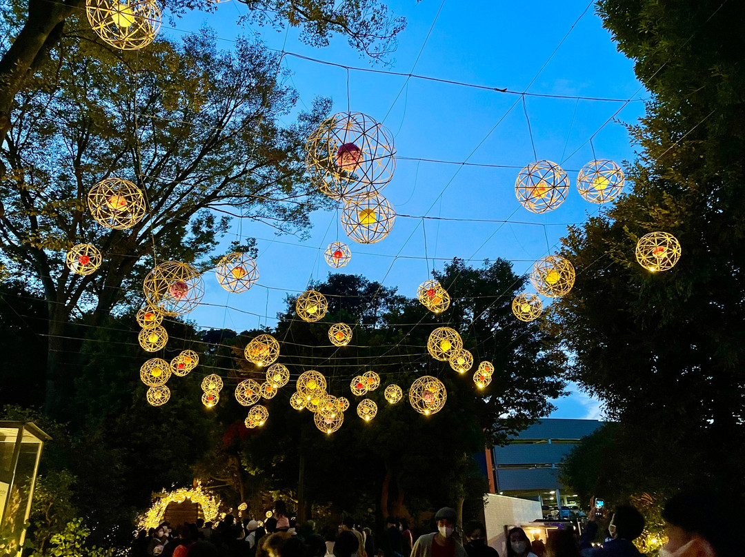 Hana Biyori-稻城市必去景点