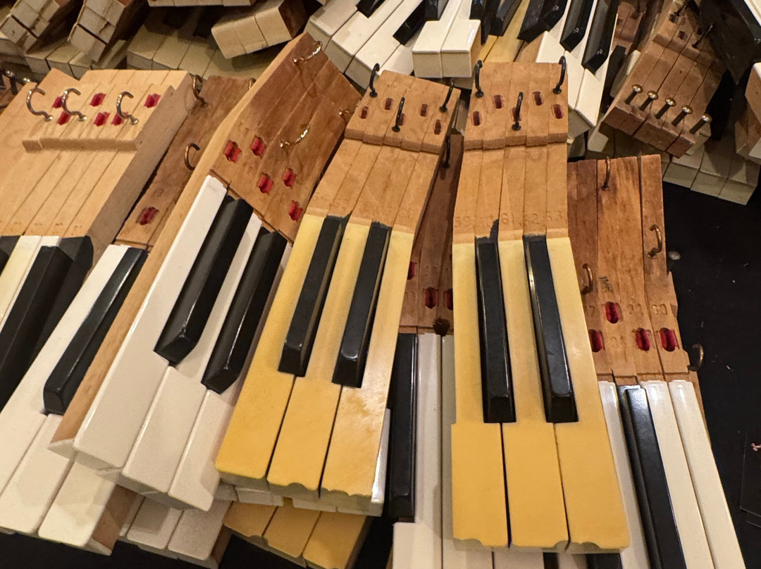 Clearwater Beach Sheraton Resort on Sand Key主图