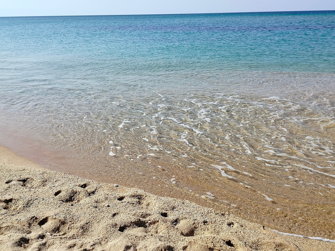 Anaele House Apartments主图