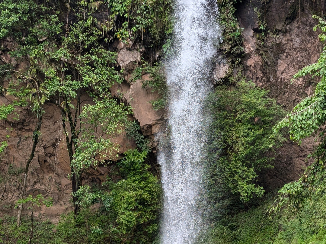 Villa Tavida Lodge & Spa主图