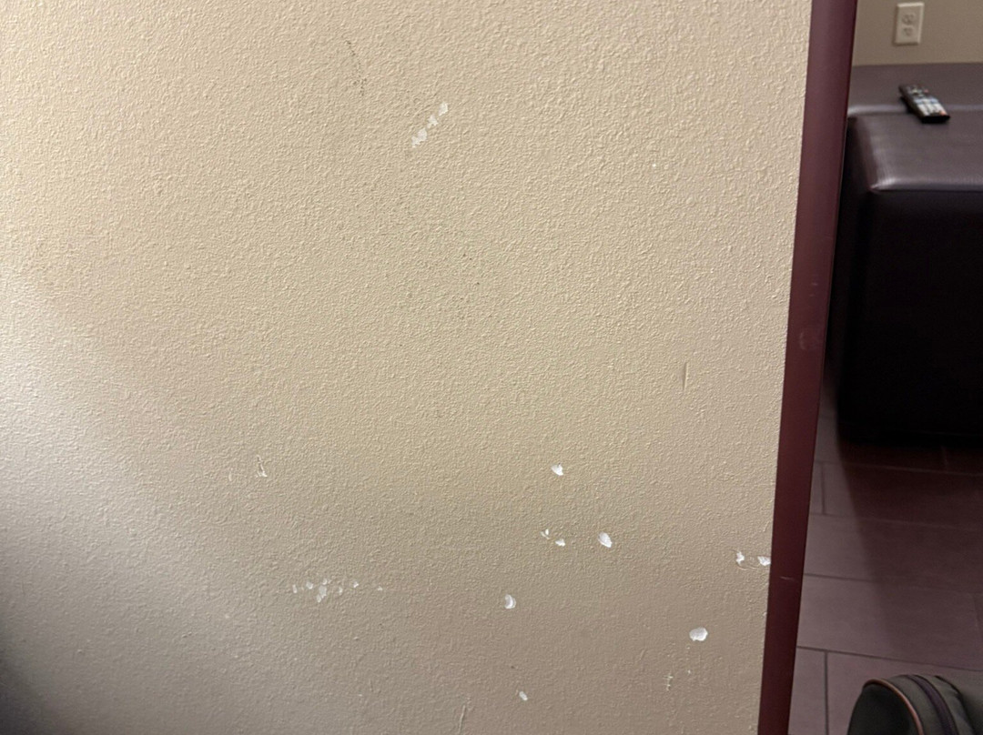 Comfort Inn & Suites主图