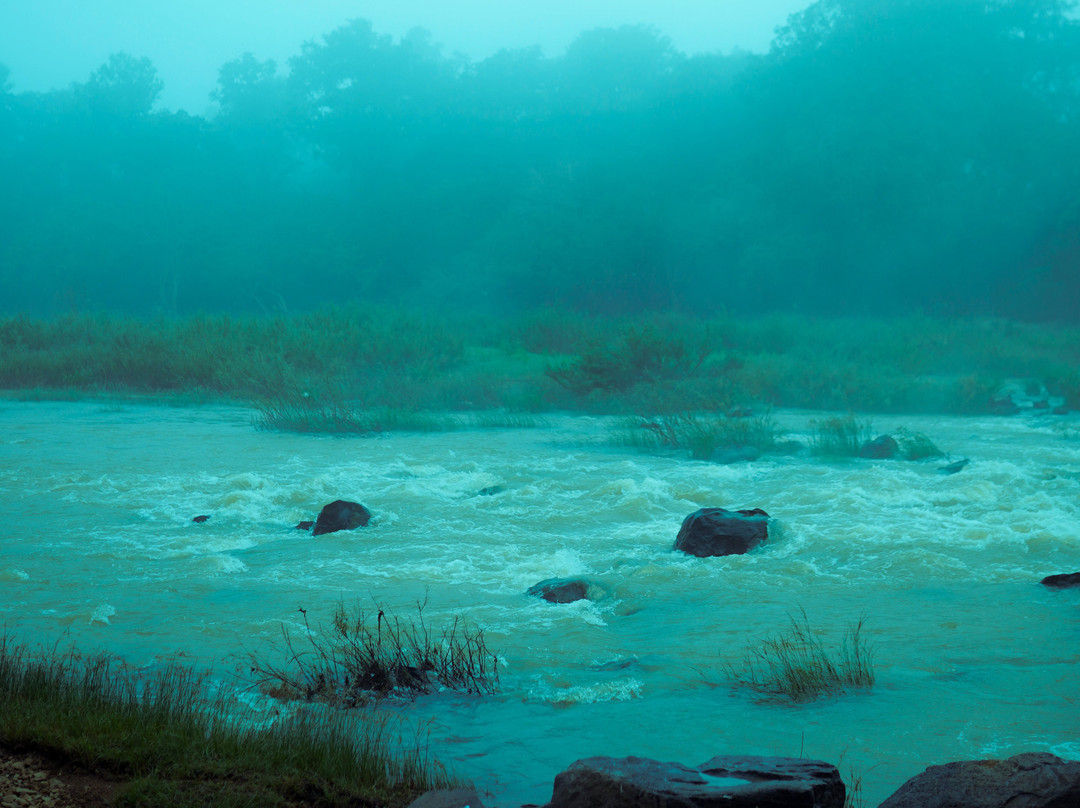 Kuruva Island Resort And Spa主图