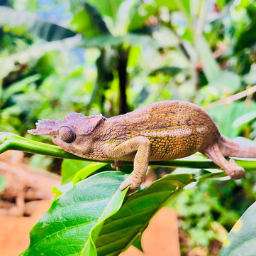 Kill Summit Tours-莫西必去景点