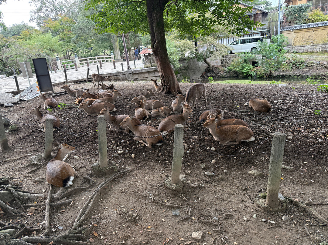 Todaiji Temple Cultural Center-奈良市必去景点