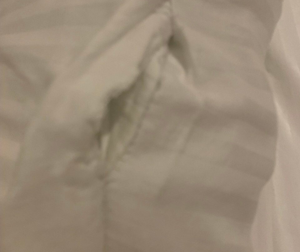 Panna Tiger Resort主图