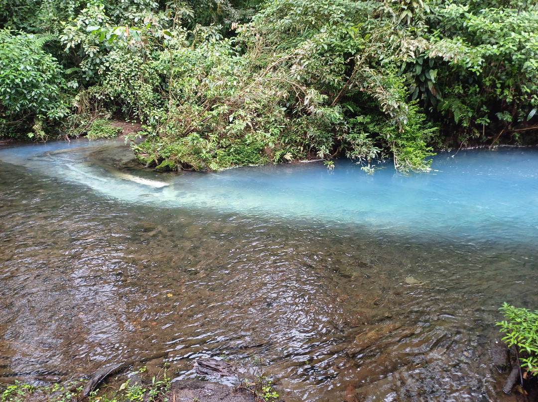 Parque National Volcan Tenorio景点图片