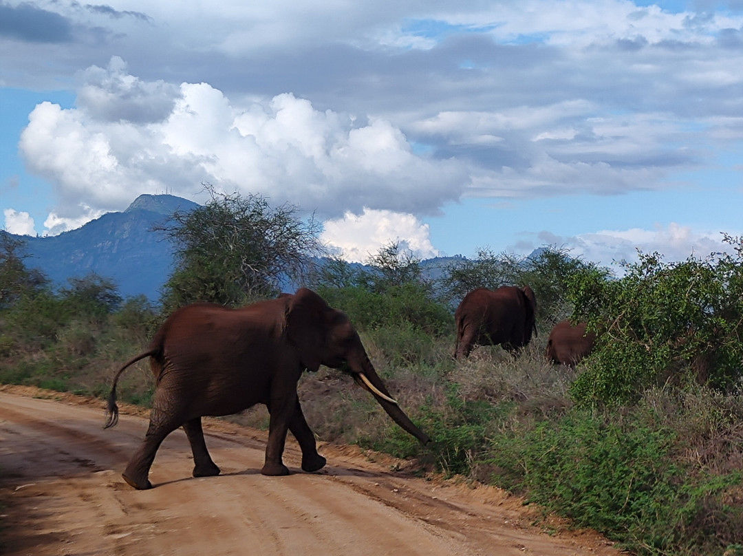 Kenya Trip Safaris-Gede必去景点