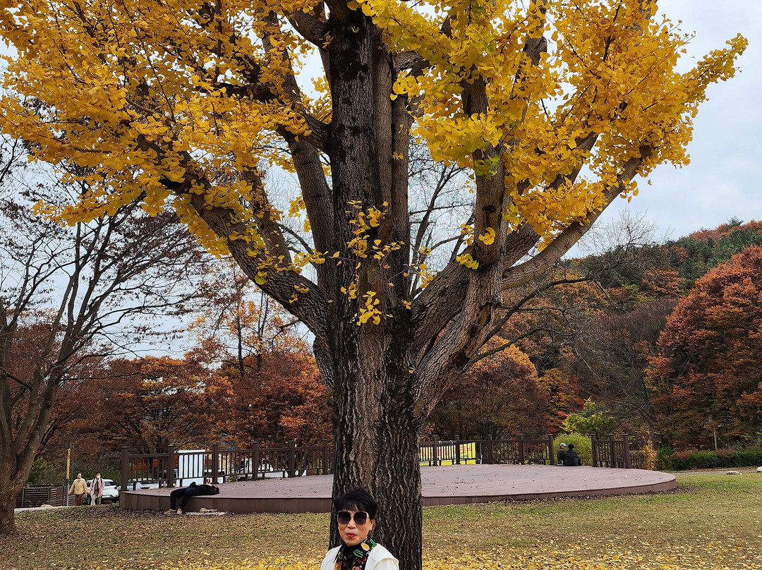 Yongmunsa Temple-杨平郡必去景点
