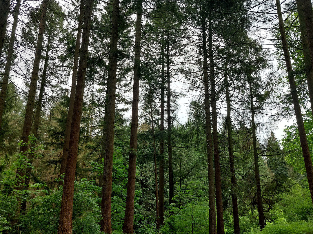 Arboretum Tervuren-Tervuren必去景点