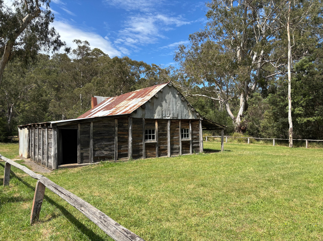 Australis 4WD Adventures-曼斯菲尔德必去景点