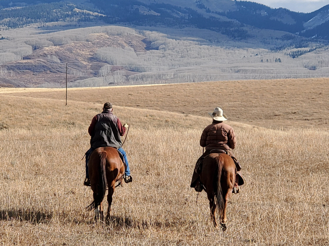 Wild West Excursions-多洛雷斯必去景点