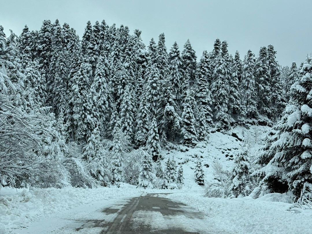 Mantania Tower主图