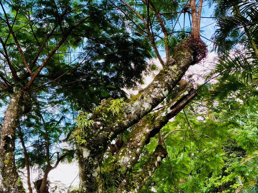 Pousada Caminho das Candeias主图