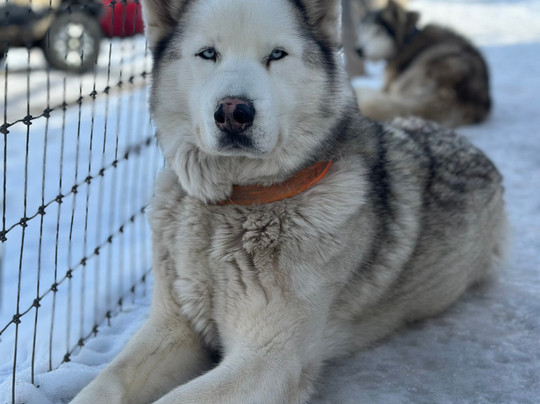 Rancho Luna Lobos-帕克城必去景点