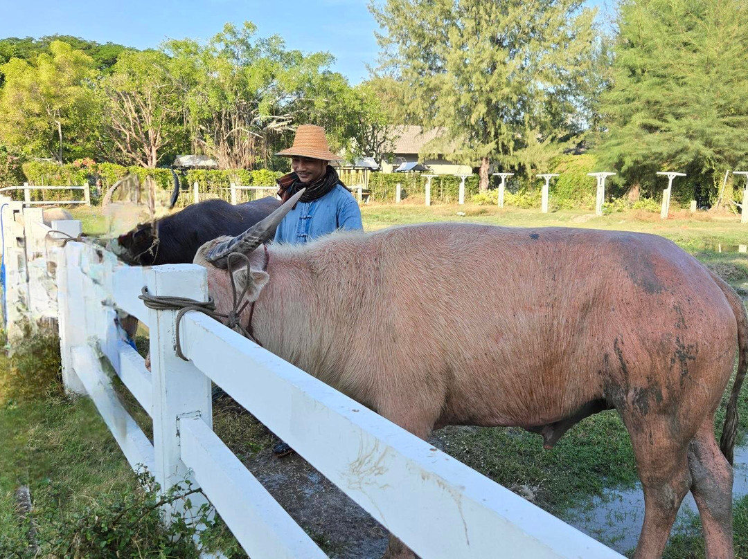 华欣杜斯特塔尼酒店主图