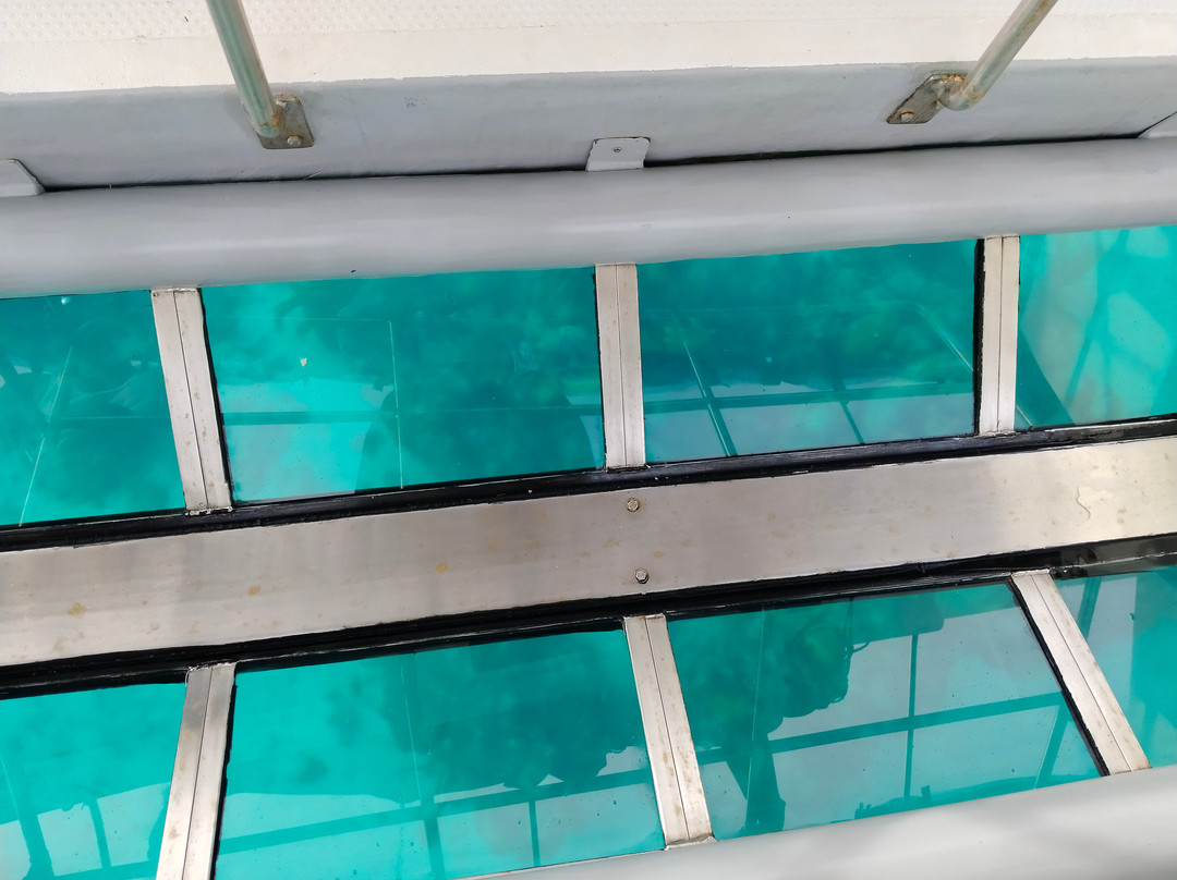 Ocean View Glass Bottom Boat Tours景点图片