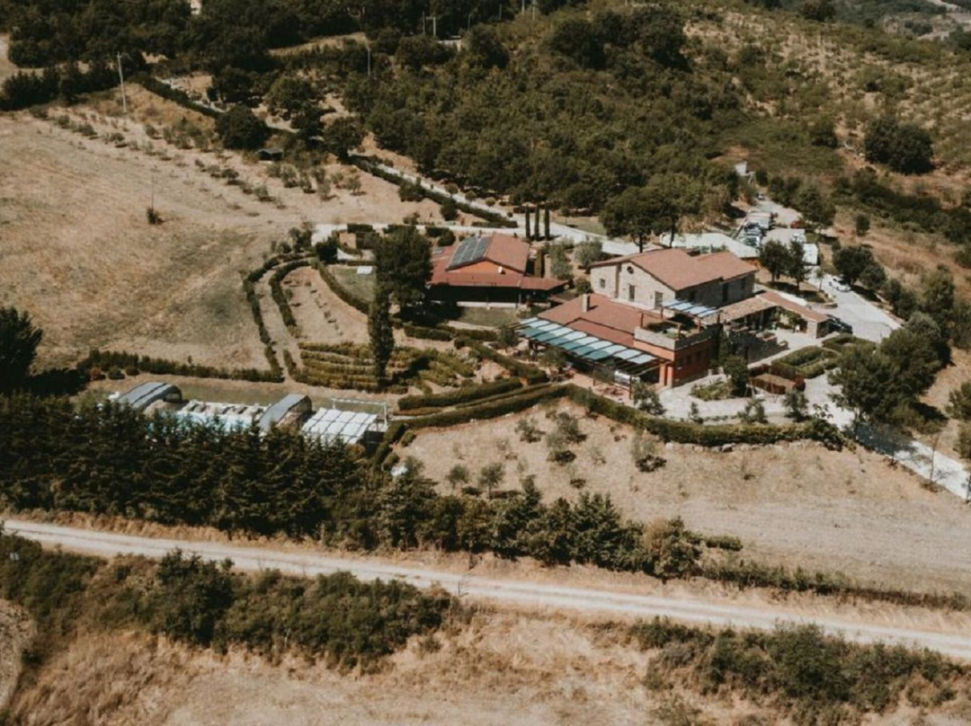 La Foresteria Di San Leo主图