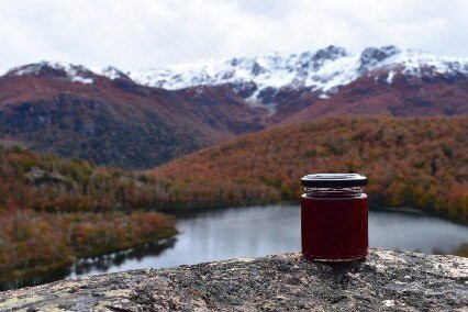 La Frambueseria-Lago Puelo必去景点