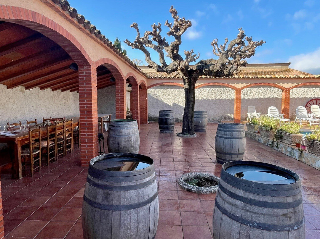 Caves Romagosa Torné-Sant Marti Sarroca必去景点