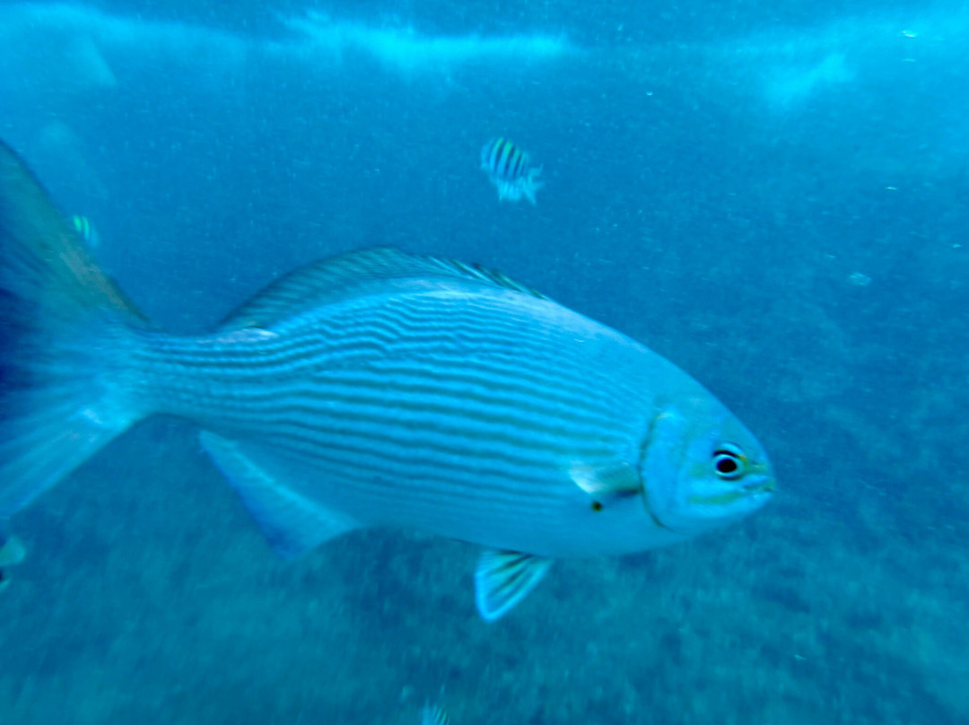 West View-圣安德烈斯岛必去景点