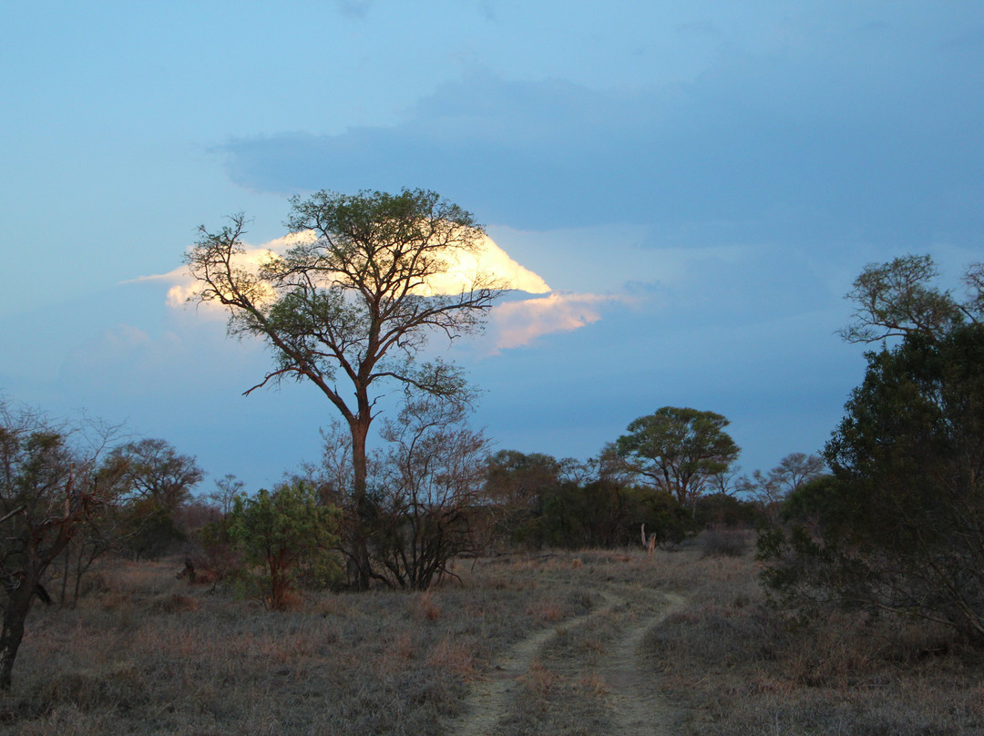 L'œil Sauvage - Wildlife Experience-霍德斯普鲁特必去景点
