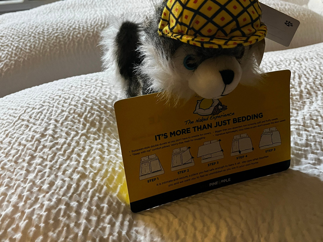 麦克斯韦酒店-菠萝招款待主图