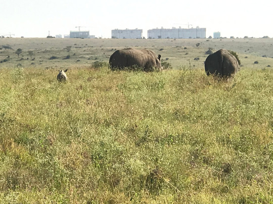 Jimfire Safaris and Transfers-Karen必去景点