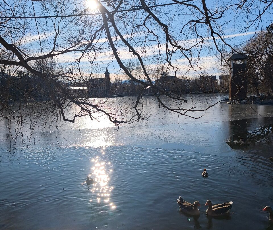 Lago de Puigcerda景点图片