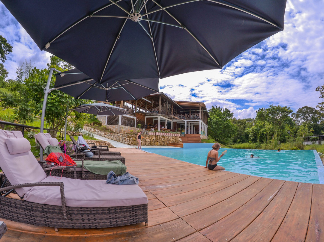 Winika Alterra主图