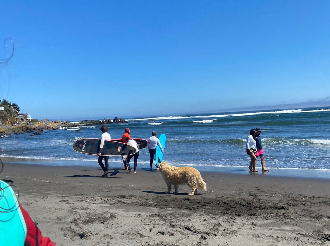 Yagan ecoturismo chile-皮钦勒姆必去景点