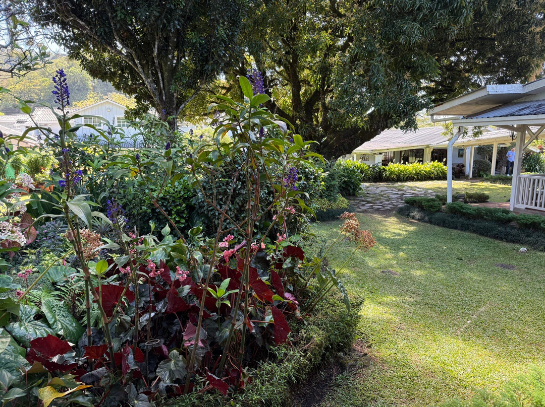 Hotel Panamonte主图