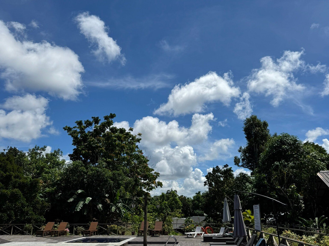 Borneo Sepilok Rainforest Resort主图