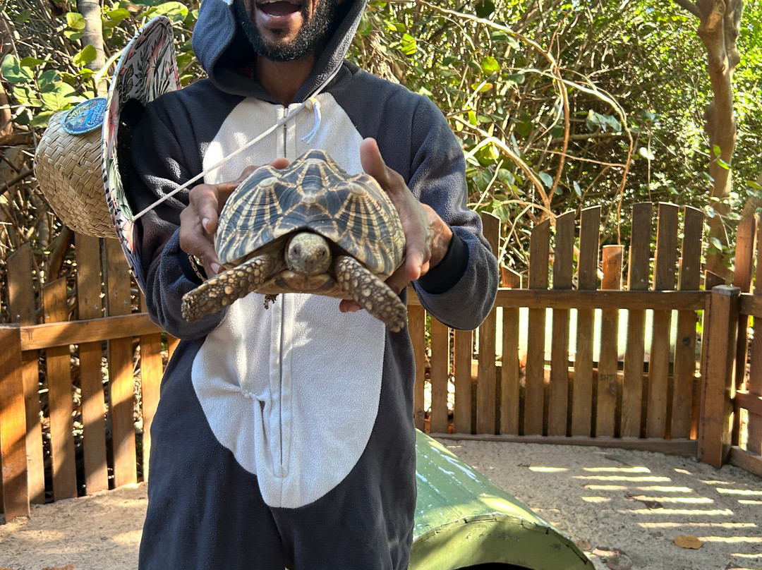 Sea It Clear Tours-North Sound必去景点