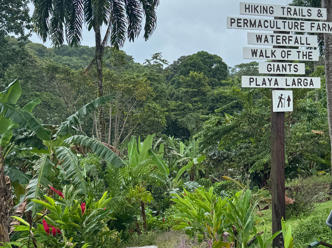 La Tierra Del Encanto-Isla Bastimentos必去景点