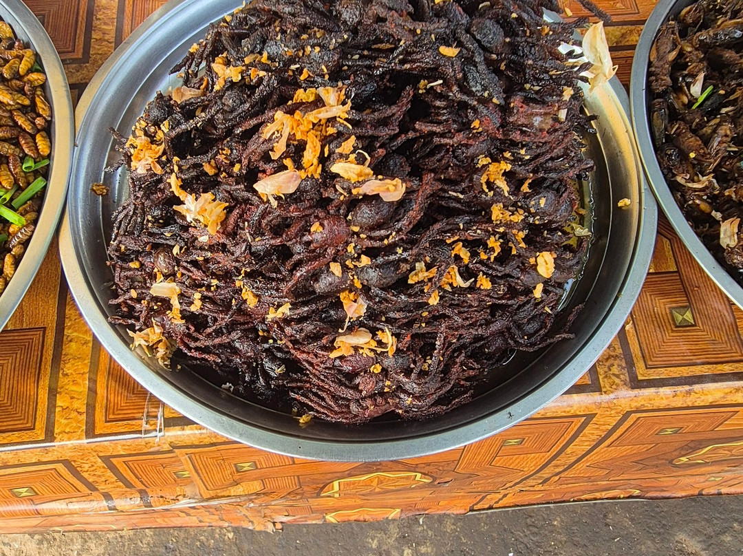 Skun Spider Sanctuary-斯昆必去景点