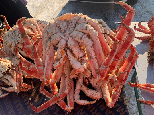 Sputniki Sakhalina-南萨哈林斯克必去景点