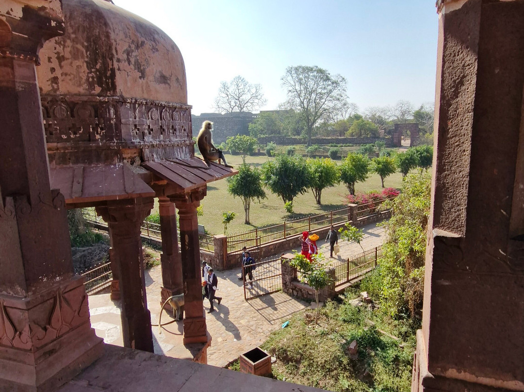 Ranthambore Fort-Ranthambhore Fort必去景点