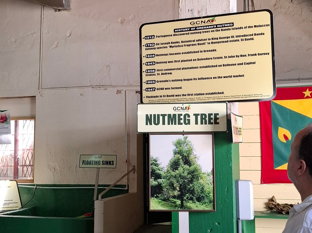 Grenada Co-Operative Nutmeg Association-格林纳达必去景点