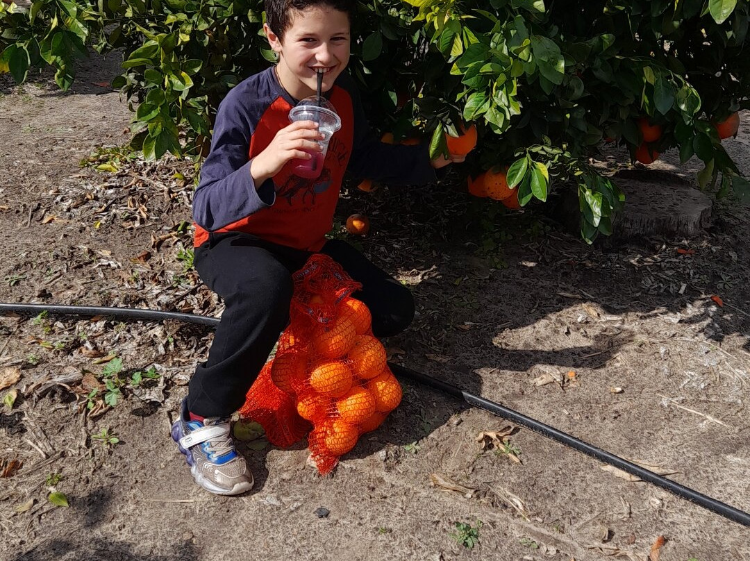 Shvil HaTapuzim-Hadera必去景点