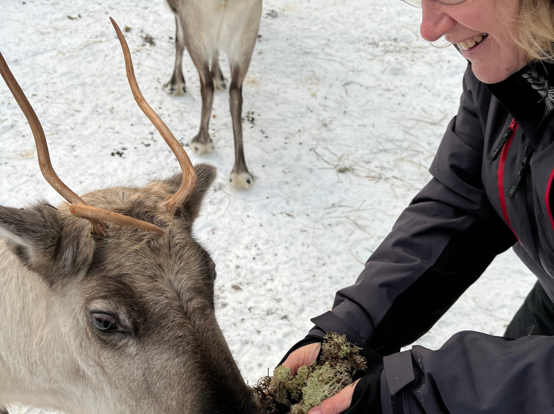 Snow Fun Safaris Lapland-Akaslompolo必去景点
